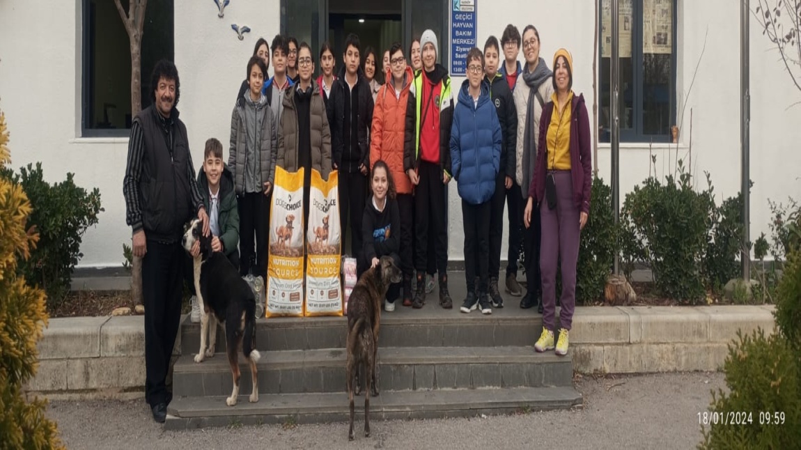Sokak hayvanları ve Ataşehir hayvan barınağı için yaptığımız mama toplama kampanyası